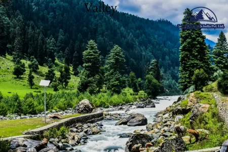5N6D Kashmir Package with Gulmarg Stay
